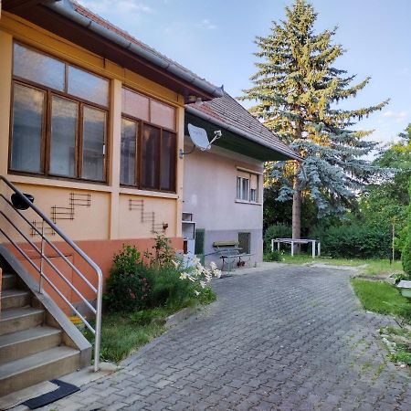 Zadora Haus Lejlighed Săcele Eksteriør billede